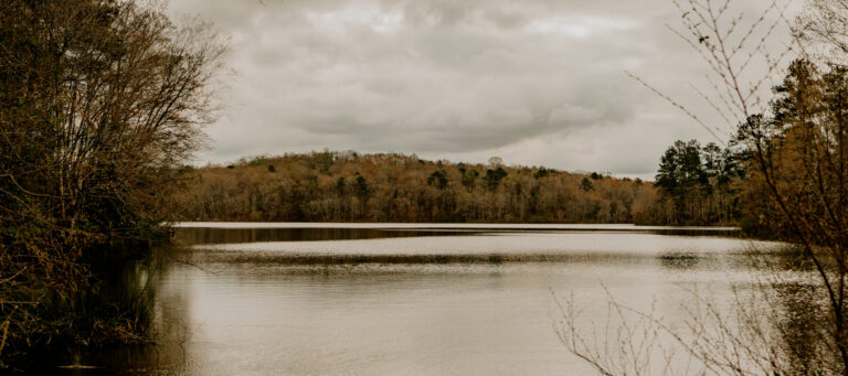 Go Green Account - FNB Hamilton